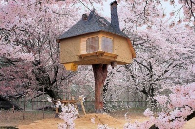 Le 5 più belle case sugli alberi