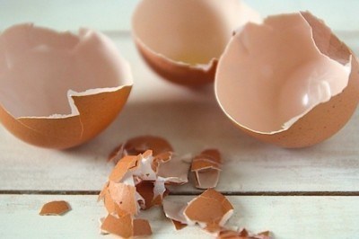 7 idee originali per utilizzare i gusci d'uovo