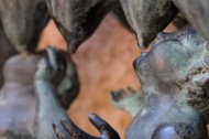 Roma: Una nobile origine