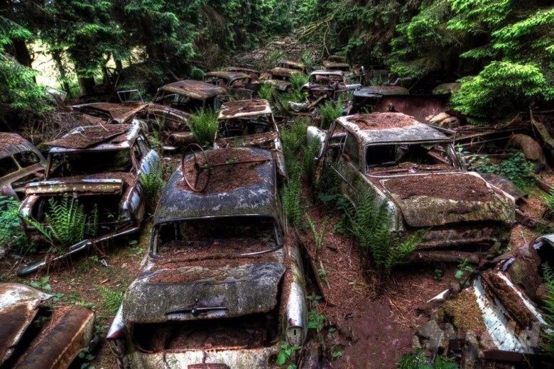 Cimitero di Auto d'epoca, foresta di Chatillon, Belgio