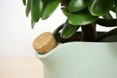 Il vaso che ti ricorda quando annaffiare