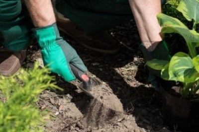 Primavera: Cosa c'è da fare in giardino?