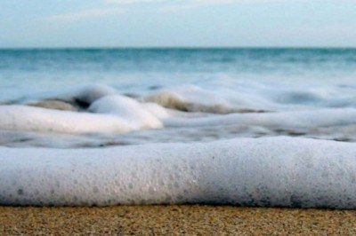 Una medicina miracolosa che ci dona la natura