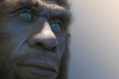 L' Uomo di Neanderthal usava antibiotici e conosceva il principio attivo dell'aspirina