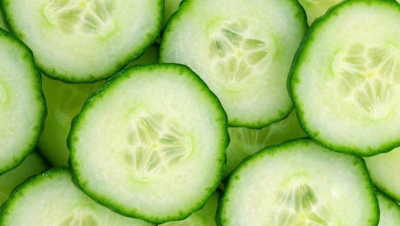  I cetrioli, un vegetale dalle proprietà sorprendenti