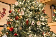 La storia dell'albero di Natale